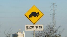クルマと動物の衝突｢ロードキル｣で考える人間と野生動物が共生する｢高速道路｣の対応策