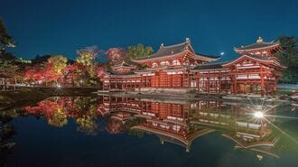 秋の京都｢夜の紅葉×世界遺産｣"王道"の4名所