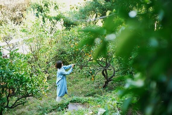 前のオーナーご家族が育てていた家庭菜園も引き継いで。春は梅、夏はブルーベリーやトマト、秋は柿や栗、冬はミカンやレモン……といったふうに、収穫の時期で季節を感じる（写真撮影／相馬ミナ）