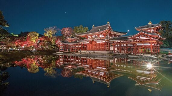 ライトアップされた平等院