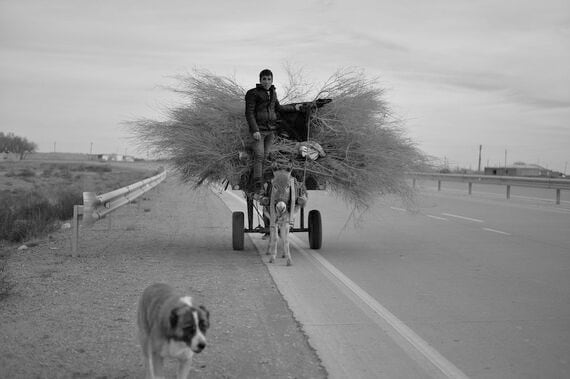 車より動物のほうが多い幹線道路