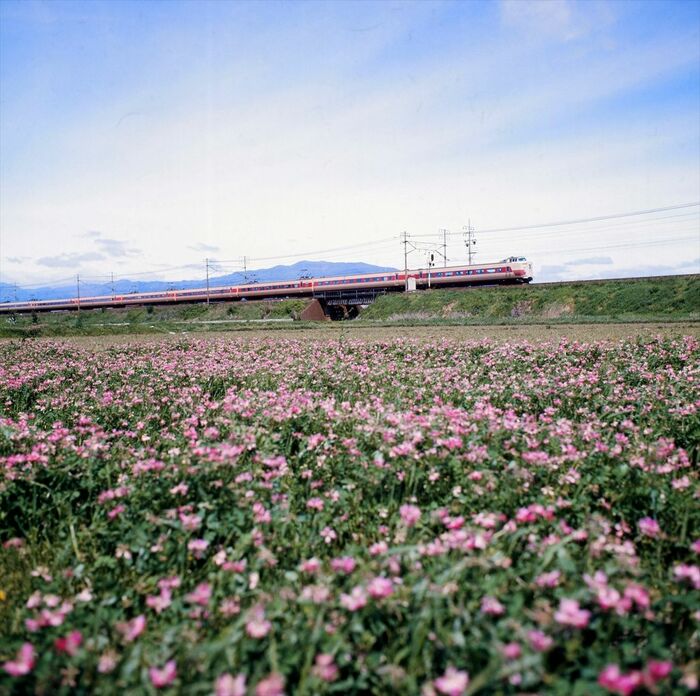 大垣付近を走る381系「しなの」