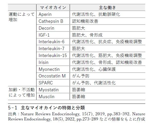 （画像：『筋肉はすごい-健康長寿を支えるマイオカイン』より）