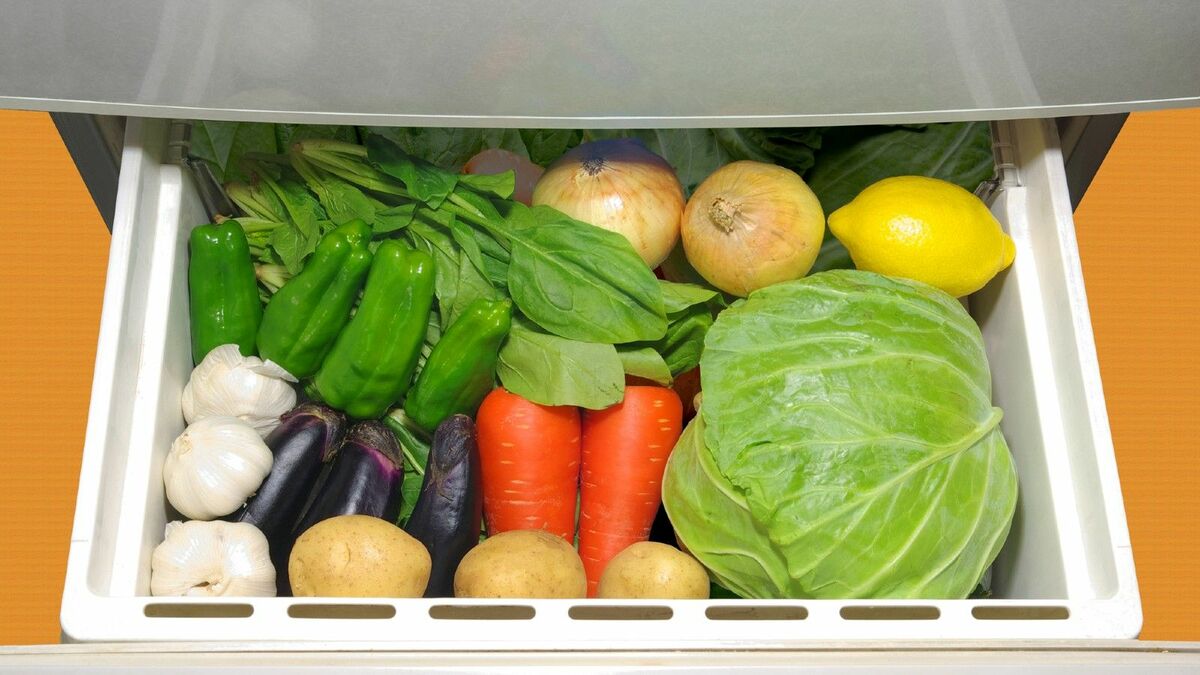冷蔵庫で｢野菜の鮮度が落ちる｣残念な保存の仕方 野菜は｢収穫後の今も生きている｣と心得よう | グルメ・レシピ | 東洋経済オンライン