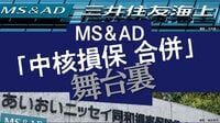 三井住友海上とあいおいニッセイ同和、MS&AD損保2社は恩讐を越えてなぜ合併決議に至ったのか　背景にあった「政策保有株」の売却