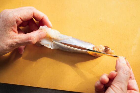 イカの塩辛 白崎茶会の発酵ごはん