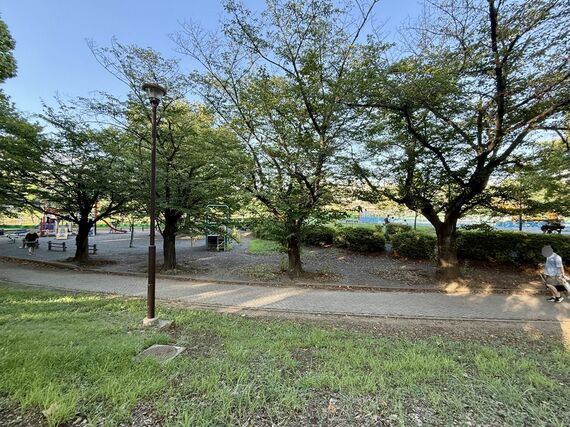 美しが丘公園