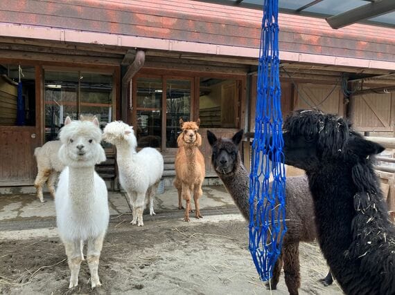 市川市動植物園