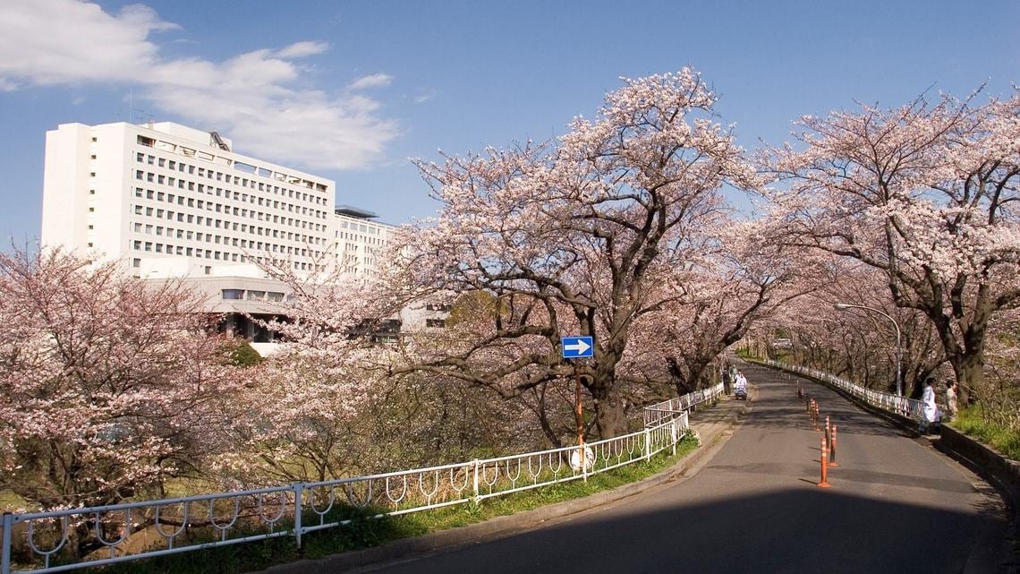 東京化する 千葉大学よ それでいいのか 競馬好きエコノミストの市場深読み劇場 東洋経済オンライン 経済ニュースの新基準