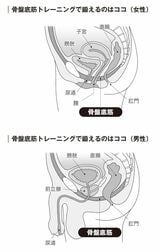 （出所：『頻尿・尿もれ自力でできるリセット法』より）