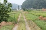 （旧線）宇津井郷―石見佐野間：浜田市佐野地区に入っていく線路敷（筆者撮影）