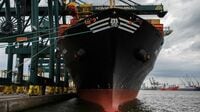 世界最大のコンテナ海運会社MSCメディテラニアン･シッピングが計画する｢ホルムズ海峡回避の新ルート｣とは？