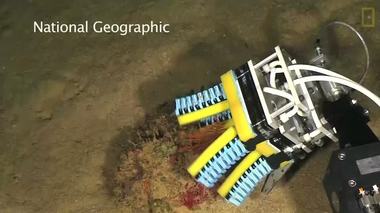 Watch How the Soft Robotic Hand Is Used for Ocean Research   