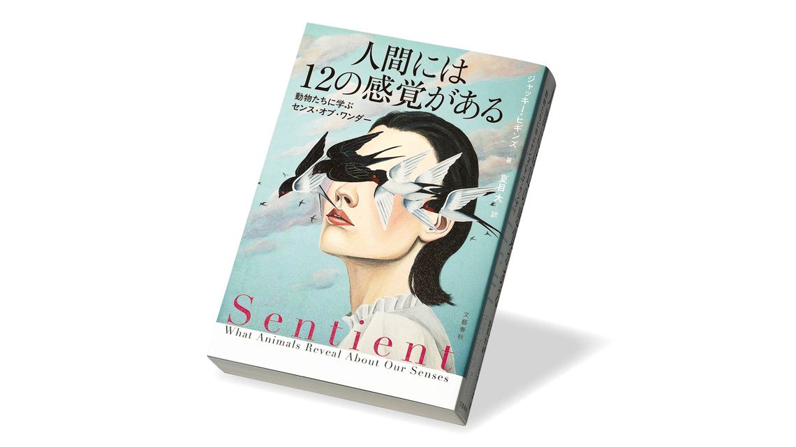 『人間には12の感覚がある 動物たちに学ぶセンス・オブ・ワンダー』ジャッキー・ヒギンズ 著