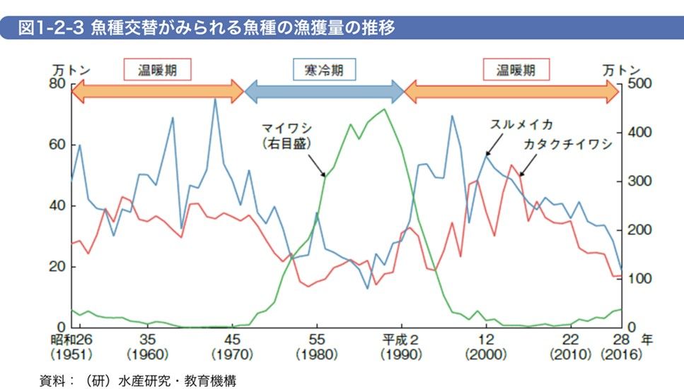 （出所）水産白書
