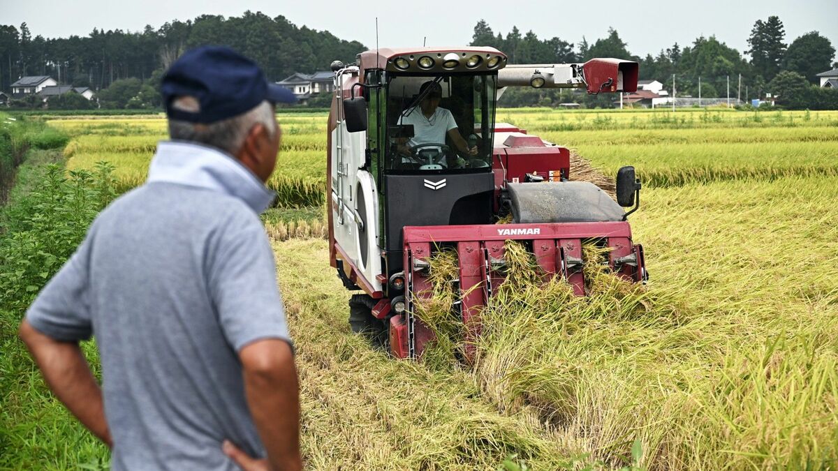 高すぎるコメの価格はいつになったら下がるのか | 消費・マーケティング | 東洋経済オンライン