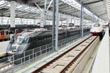 長崎駅に停車する新幹線「かもめ」の試乗列車と、その開業後には廃止される在来線特急「かもめ」（写真：恵 知仁）