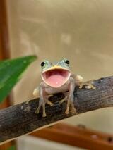 口を開けている写真が多いのは、食事の時間に撮影しているから（写真提供：ぴよさん）