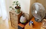 リビングのインテリア