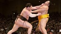 ｢激動｣から｢世代交代｣へ 大相撲