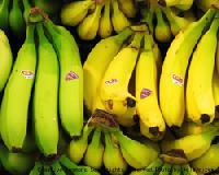 バナナ自動販売機に学ぶ「AIDMA補完計画」《それゆけ！カナモリさん》