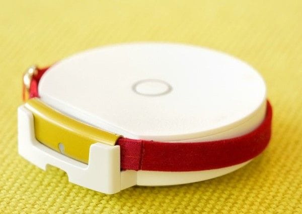Catlog。スピードを計測するセンサーを首輪に取り付けてある。得られたデータは中継器からサーバーに飛ばされるので、どこにいてもスマホで確認できる。充電池の持続時間や中継器のフォロー範囲が限られることから、現時点では本格的な迷子タグとしては使えないものの、万が一のときに迷子タグとしても対応できるような機能も検討中だそうだ（撮影：梅谷秀司）