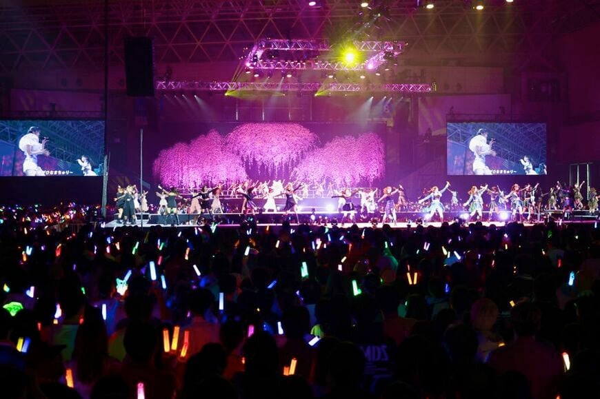 マイナンバーカード認証 Hello! Project ひなフェス 2025