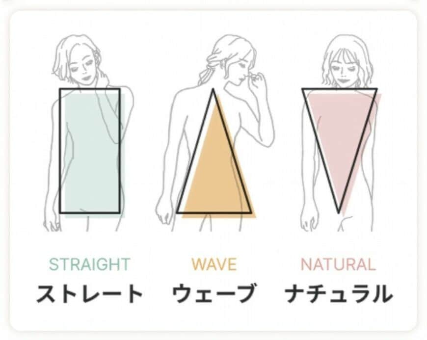 骨格タイプ