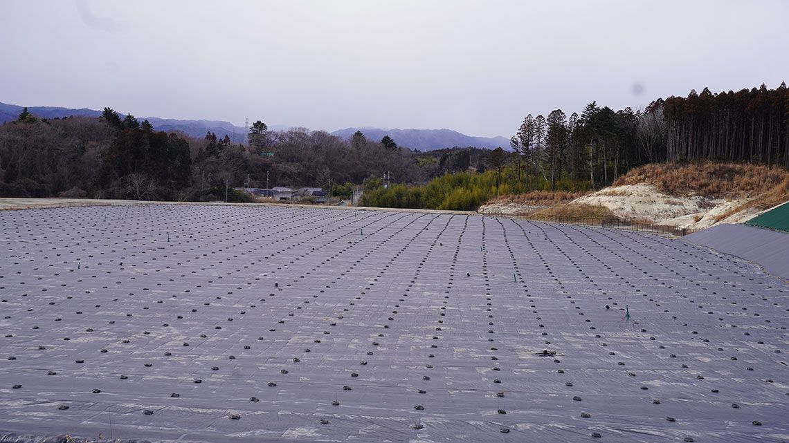 除去土壌が保管されている中間貯蔵施設（福島県大熊町）