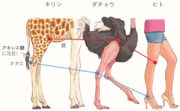 （イラスト：浅野文彦）