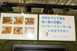 東京キャンピングカーショー2022に出展されていた三島ダイハツの「クオッカ」（筆者撮影）