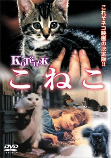 猫に夢中な人｣に見てほしい名作映画の魅力 そのかわいさだけに目を奪