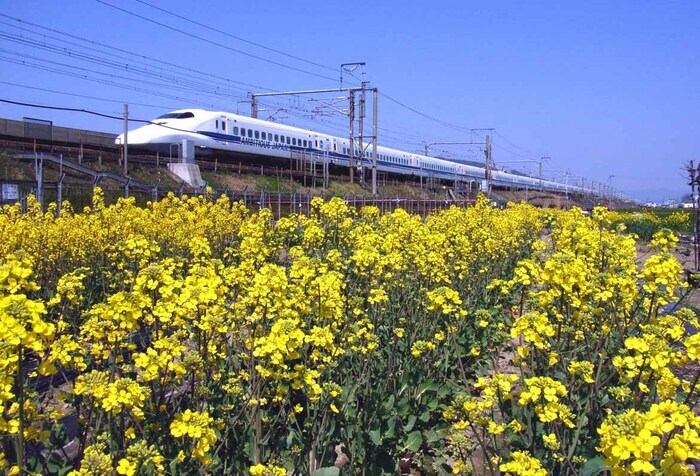 「AMBITIOUS JAPAN!」のロゴが