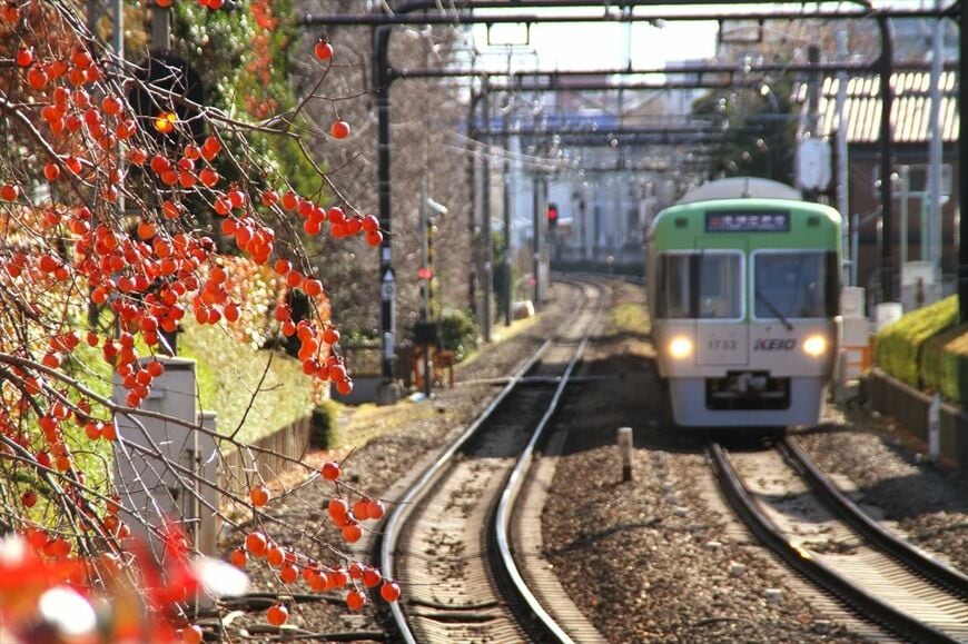 晩秋の三鷹台駅付近（撮影：南正時）