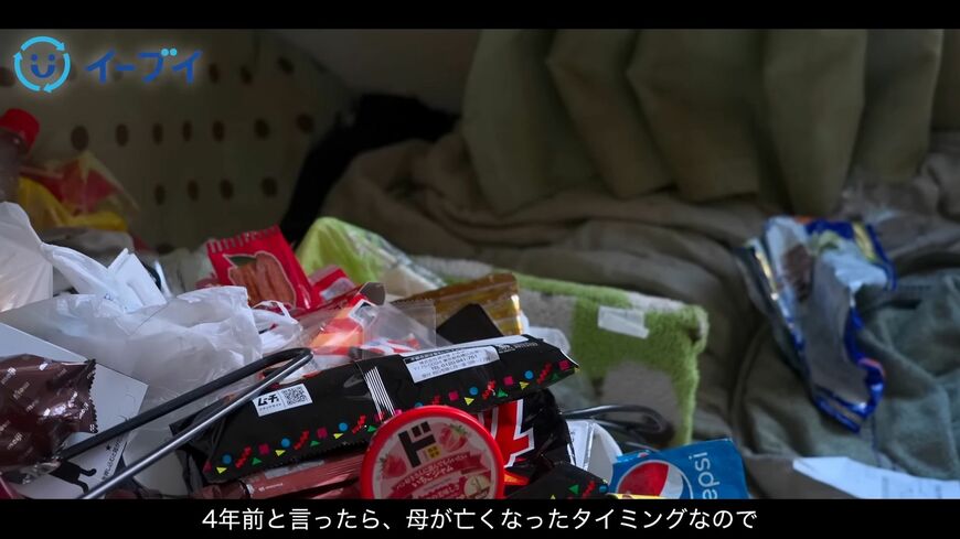 （画像：「イーブイ片付けチャンネル」より）