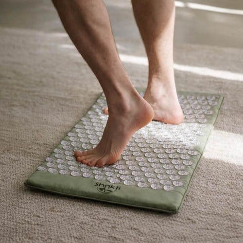 （写真：公式画像より）