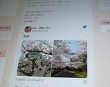 2015年4月3日にhiroさんがアップした投稿。日記に埋め込んだ前日のTwitterに桜の写真がある（筆者撮影）