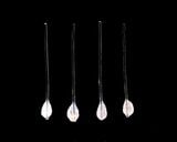 再生毛包器官原基