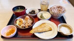 消費者庁が激オコ「激安居酒屋チェーン」の実態 名物皮串は50円 消費者庁が激オコ「激安居酒屋チェーン」の実態 名物皮串は50円