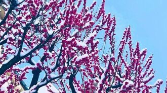 俵万智が嫌悪感あった｢ラップ｣に惹かれた理由