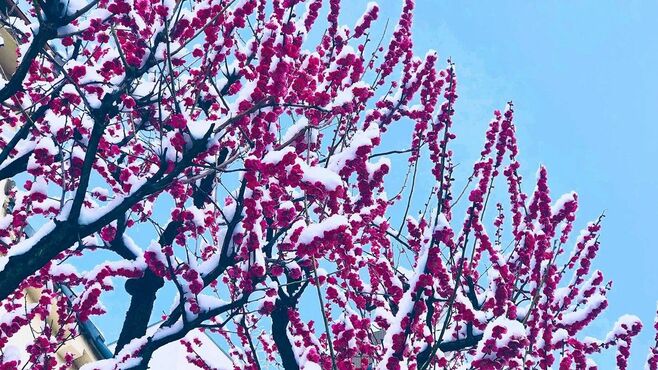 俵万智が嫌悪感あった｢ラップ｣に惹かれた理由