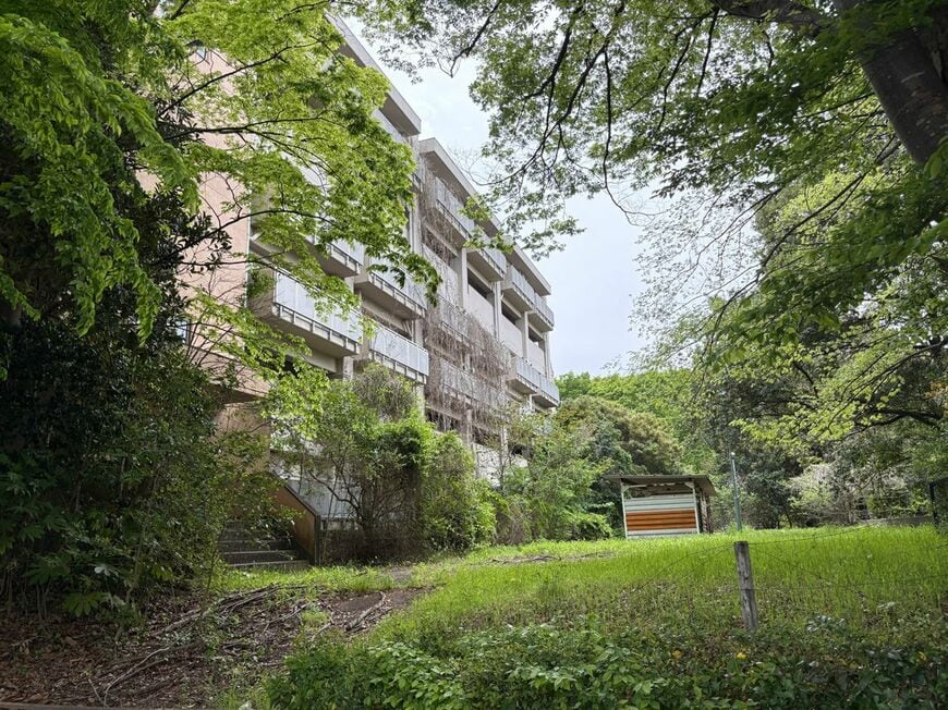 整然とした街中に突然現れた廃団地。このエリアだけ鬱蒼としており、昼間でも歩くのが怖くなる景色だった（写真：筆者撮影）