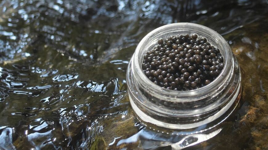 愛知県豊根村の「ロイヤルキャビア」。ふるさと納税の返礼品としてキャビア1瓶（25グラム）とチョウザメのスライス（100グラム）のセットで5万円（写真：豊根村）