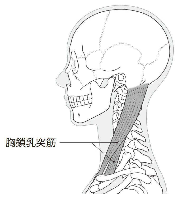 （出所：『首の痛み・コリ・しびれ 自力でできるリセット法』より）