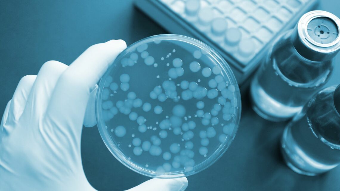 人や動物と共生する微生物は、未来の医療に希望をもたらすのでしょうか（写真：cassis／PIXTA）