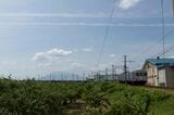 津軽といえばリンゴ。畑の横をゆく弘南鉄道大鰐線（撮影：鼠入昌史）