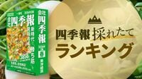 ｢プロ500春号｣が選ぶ今期の純利益増加率トップ50