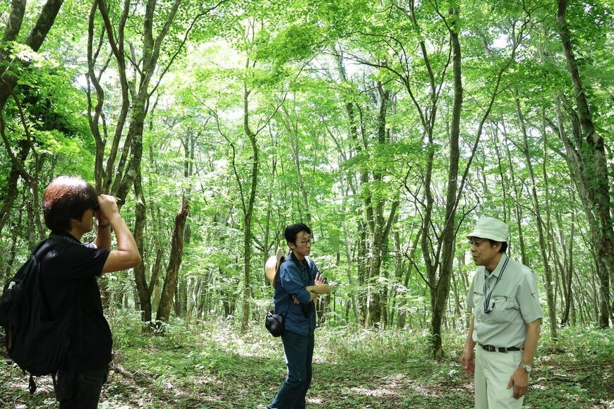 まぶちの森の広葉樹林を調査する研修会参加者ら（撮影：河野博子）