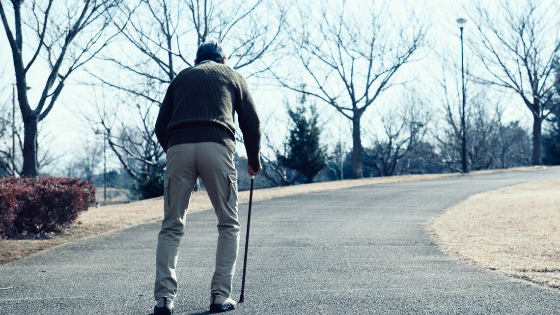 （写真：プラナ／PIXTA）