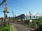 ヒマワリが咲く伊勢原10号踏切